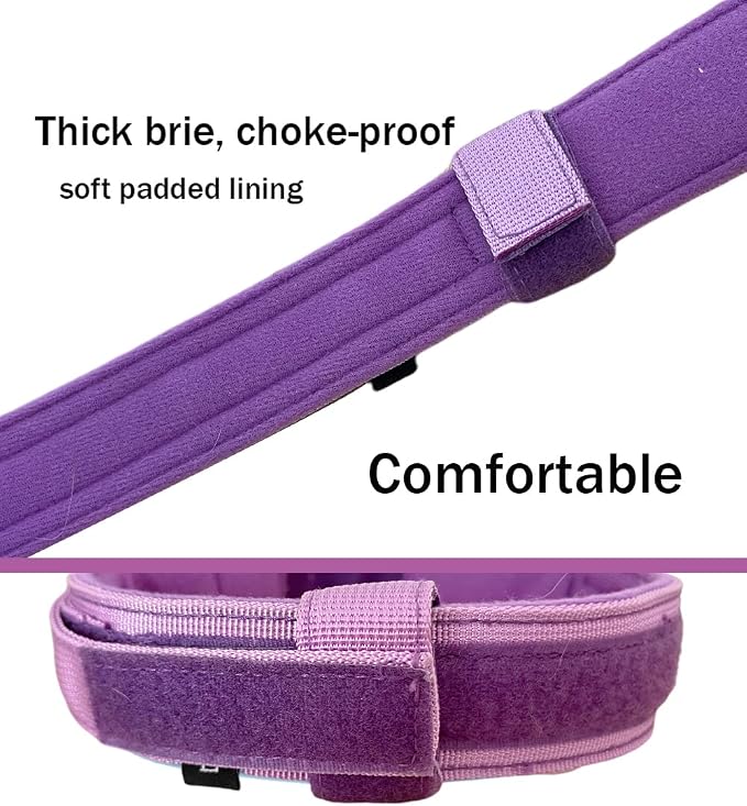 Tactical Dog Collar Adjustable Military Nylon Dog Collar with Control Handle and Heavy Duty Metal Buckle for Medium and Large Dogs (Purple,L)