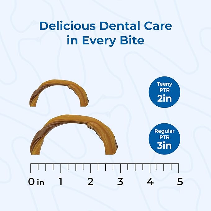 N-Bone Puppy Teething Rings Taste of Texas Pulled Pork Flavor 3 Count