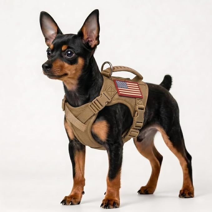 Tactical Dog Harness for Small Dogs, XS Puppy Harness with Handle, No Pull Adjustable Military Vest, Soft Chest Support Pad, D-Ring, Molle Loop Panels, 2 Patches, Khaki
