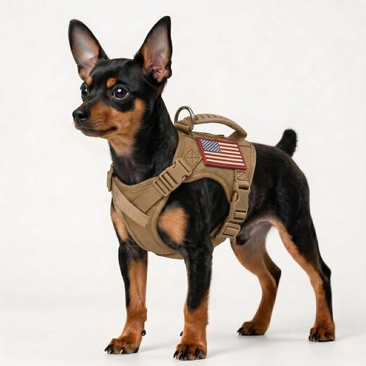 Tactical Dog Harness for Small Dogs, XS Puppy Harness with Handle, No Pull Adjustable Military Vest, Soft Chest Support Pad, D-Ring, Molle Loop Panels, 2 Patches, Khaki