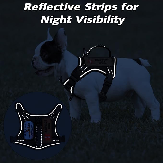 Tactical XS Dog Harness, Military Service Dog Vest with Vertical Handle, No Pull Outdoor Training Small Puppy Vest Chihuahua Harness (Black, XS)