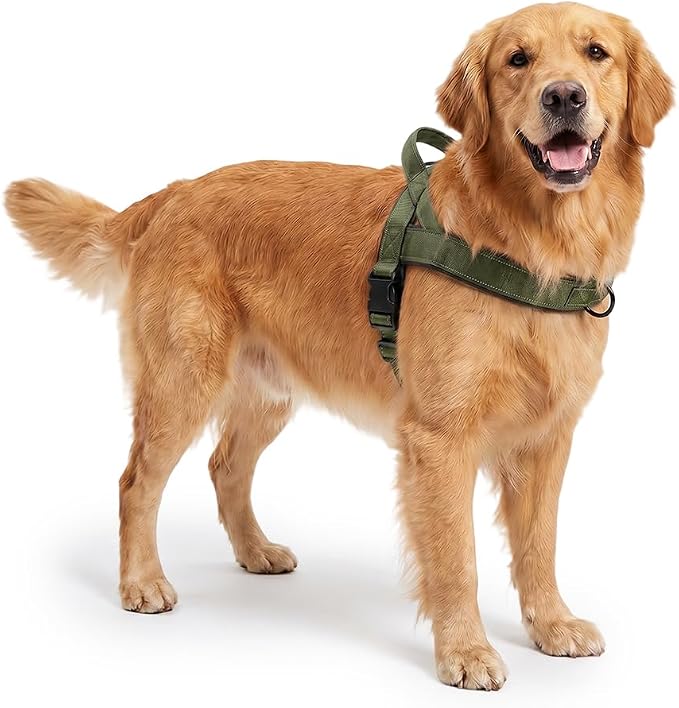 No-Pull Dog Harness with Handle, Adjustable Reflective Pet Vest Tactical Harness for Small Medium Large Dogs Walking Training, Front Clip, Escape Proof & Heavy Duty D-Ring (Green, XL)