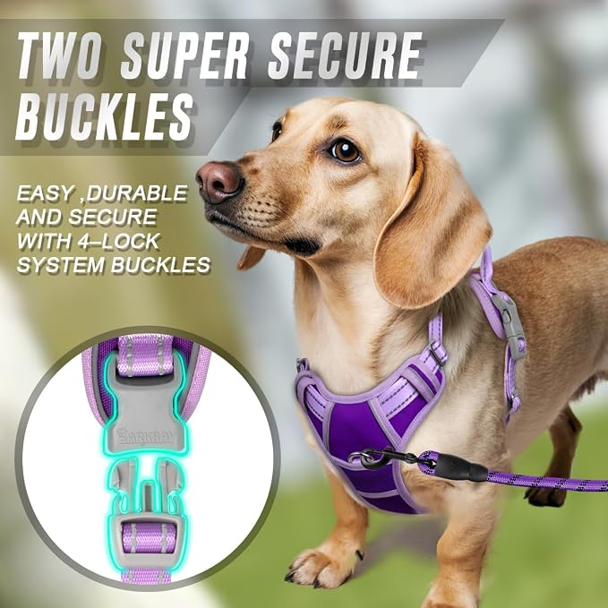 BARKBAY Dog Harness No Pull for Small Sized Dog Front Back Clips,Dog Vest | Soft Padded No Choke With Handle,Easy On&Off,Adjustable Reflective For Walking Training Running(Violet Purple & Purple,XS)