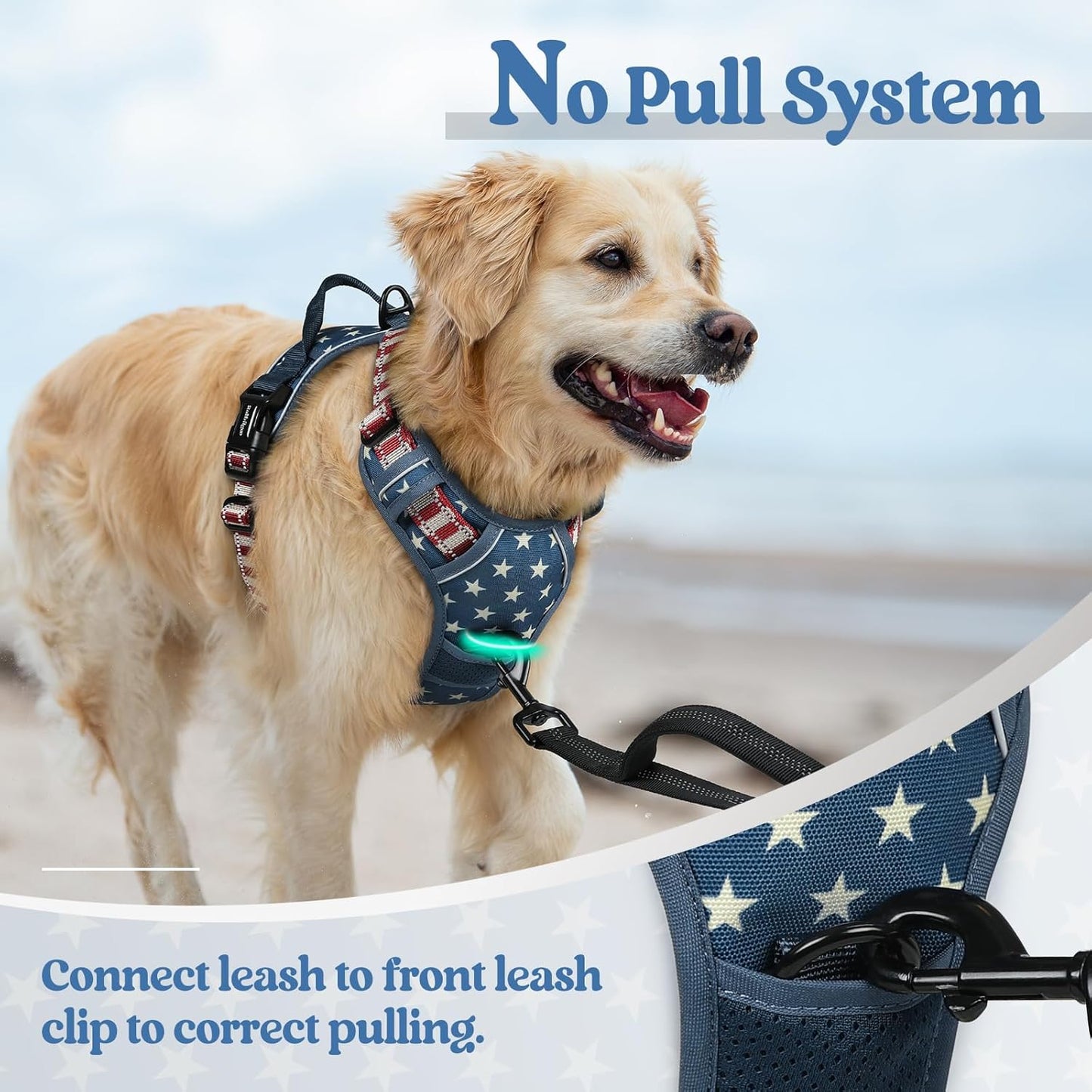 rabbitgoo Dog Harness No Pull with 2 Leash Clips, Adjustable Soft Padded, Reflective Oxford No Choke Pet Vest with Easy Control Handle for Large Dogs, Blue Star, XL