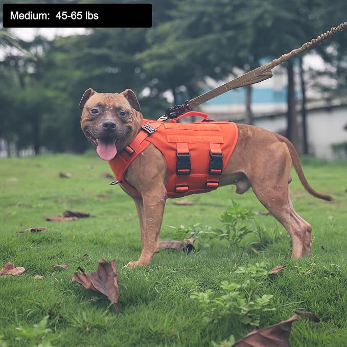 ICEFANG No Pull Tactical Dog Harness for Medium Dogs,Adjustable Dog Vest | Control Handle,MOLLE Panel,Front Hook,3 Leash Clips,Soft Padded,for walking training,Orange,Medium