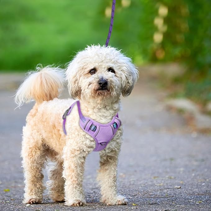BARKBAY No Pull Dog Harness Large Reflective Dog Harness with Front Clip and Easy Control Handle for Walking Training Running with ID tag Pocket(Lavender Sky,XS)