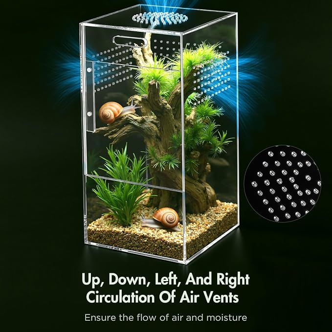 Pre-Assembled Jumping Spider Enclosure, All-Side Ventilation | 5"×5"×10" Escape-Proof Acrylic Habitat Terrarium with Magnetic Door for Jumping Spider, Tarantula, Praying Mantis, Snail