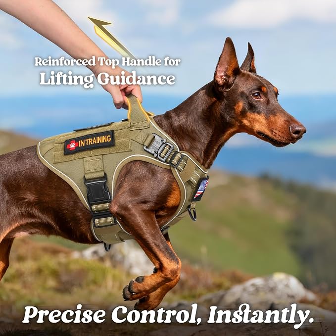 rabbitgoo Tactical Dog Harness for Medium, Heavy Duty Military No Pull Vest | Sturdy Metal Buckles, 5 Adjustments, Molle System, Powerful Pullers for Training, Hunting, Outdoor, Brown Reflex, Medium