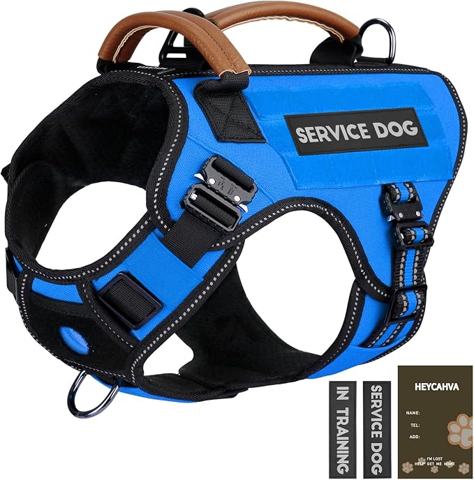 Service Dog Vest - HEYCAHVA Tactical Dog Harness Full Metal Buckles Dog Vest for Large Medium Dog Reflective No Pull Dog Harnesses with Leather Handle, Hook & Loop for Hiking Training (Blue, M)