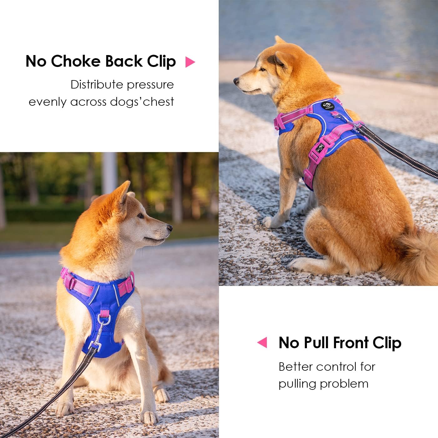 PHOEPET No Pull Dog Harness, Unique Colors Reflective Adjustable Dog Vest, with Soft Training Handle Metal Clips for Small Medium Large Dogs (Royal Blue Base & Pink Straps,L)