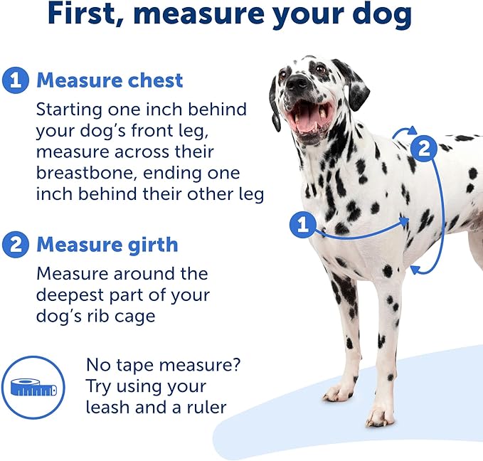 PetSafe Easy Walk Harness for Dogs - Pull-Free Walks - Patented Martingale Loop Design - Front Chest Leash Attachment - Comfort Straps - Breathable Harness Design, Charcoal/Black, X-Large (Pack of 3)