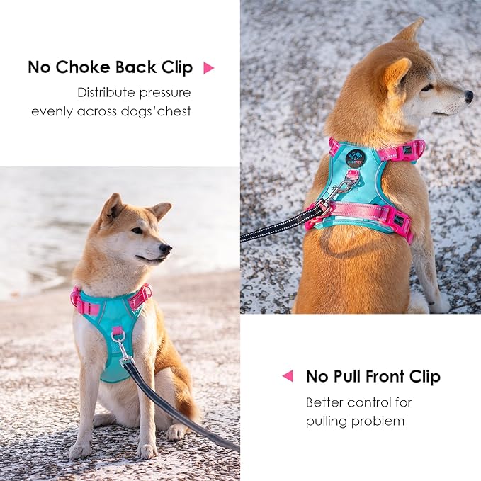 No Pull Dog Harness, Unique Colors Reflective Adjustable Dog Vest | with Soft Training Handle Metal Clips for Small Medium Large Dogs (Mint Green Base & Pink Straps,L)