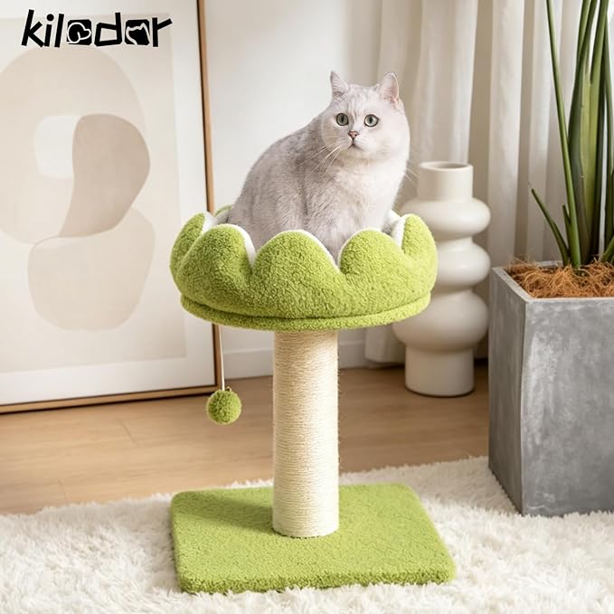 Flower Cat Scratching Post for Indoor Cats Scratcher with Perch | Comfortable & Removable Perch, Interactive Dangling Ball, Natural Sisal Scratching Post, Simple Assembly & Stability