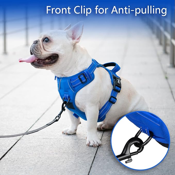 PoyPet No Pull Dog Harness, Reflective Vest with 2 Leash Clips & Handle | Lockable Neck Release Buckle, No Choke, Adjustable, Soft Padded, for Walking Training, Royal Blue, Large