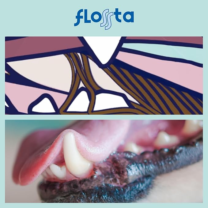 N-Bone FLOSSta Dental Chews for Dogs – Chicken Flavor, No Dyes, Grain-Free, Breath Freshening, Plaque & Tartar Control, Digestible Teething Aid – 6.4 oz Bag, Made in USA