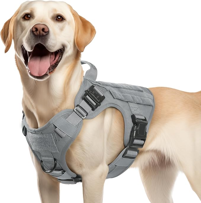 rabbitgoo Tactical Dog Harness for Medium, Heavy Duty Military No Pull Vest | Sturdy Metal Buckles, 5 Adjustments, Molle System, Powerful Pullers for Training, Hunting, Outdoor, Grey, Medium