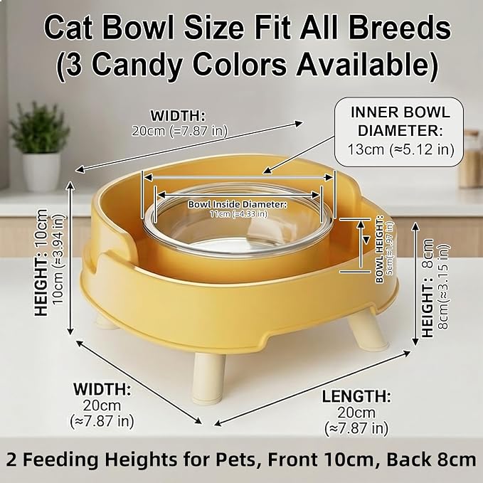2 Pack Ant Not Cross Elevated Cat Bowls Mess Proof-4 Food Grade Glass Bowls & 2 Lids- No Spill Cat Food and Water Feeding Station for Cats&Puppy Indoor & Outdoor,No Whisker Fatigue Dish