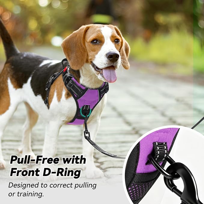 PoyPet No Pull Dog Harness Large with Front Clip & Neck Release Buckle | No Choke, Adjustable Vest, Reflective, Back Clip, Lockable, Soft Padded, Easy Control Handle for Walking Training, XL, Purple