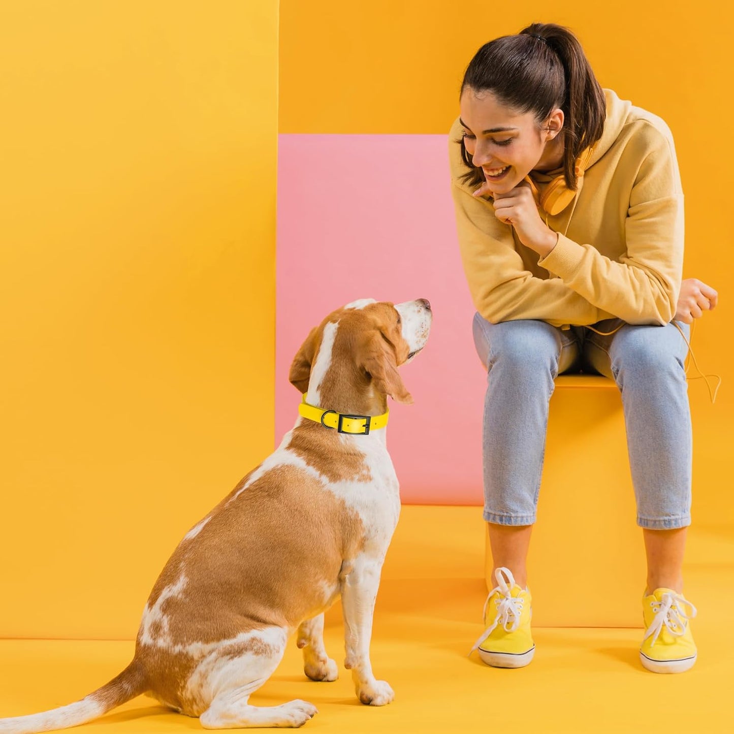 Dogline Biothane Waterproof Dog Collar Strong Coated Nylon Webbing with Black Hardware Odor- Proof for Easy Care Easy to Clean High Performance Fits Small Medium or Large Dogs, Lemon Yellow