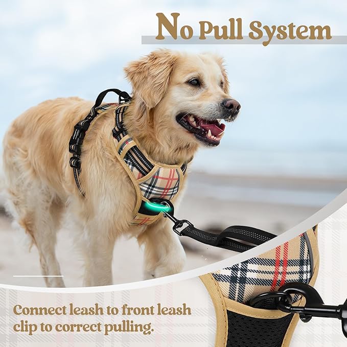 rabbitgoo Dog Harness, No Pull Medium Sized with 2 Leash Clips, Pet Vest | No Choke with Handle, Adjustable Soft Padded, Reflective, Easy Control for Walking, Beige Plaid, Medium