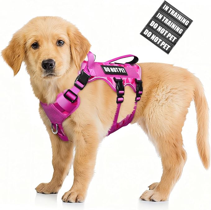 Escape Proof Dog Harness with Double Handle+4 Removable Patches | Service Working Molle Harness with Double Handle for Small Dogs, Tactical Pet Reflective Vest for Walking Hiking Hunting