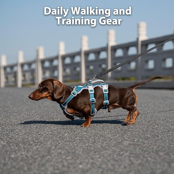 Escape Proof Dog Harness, No Pull Reflective Harness with Lift Handle, Adjustable Pet Vest with Front and Back Leash Clips for Small Medium Large Dogs Walking Hiking Training (Teal,L)