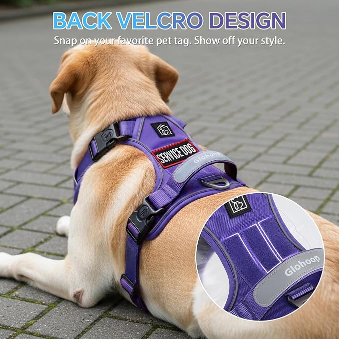 Heavy Duty Tactical Dog Harness for Small Dogs, No Pull Dog Harness with Handle & Front Clip, Reflective Soft Padded, Hook and Loop Panel, Dog Vest for Walking, Service Training, Purple