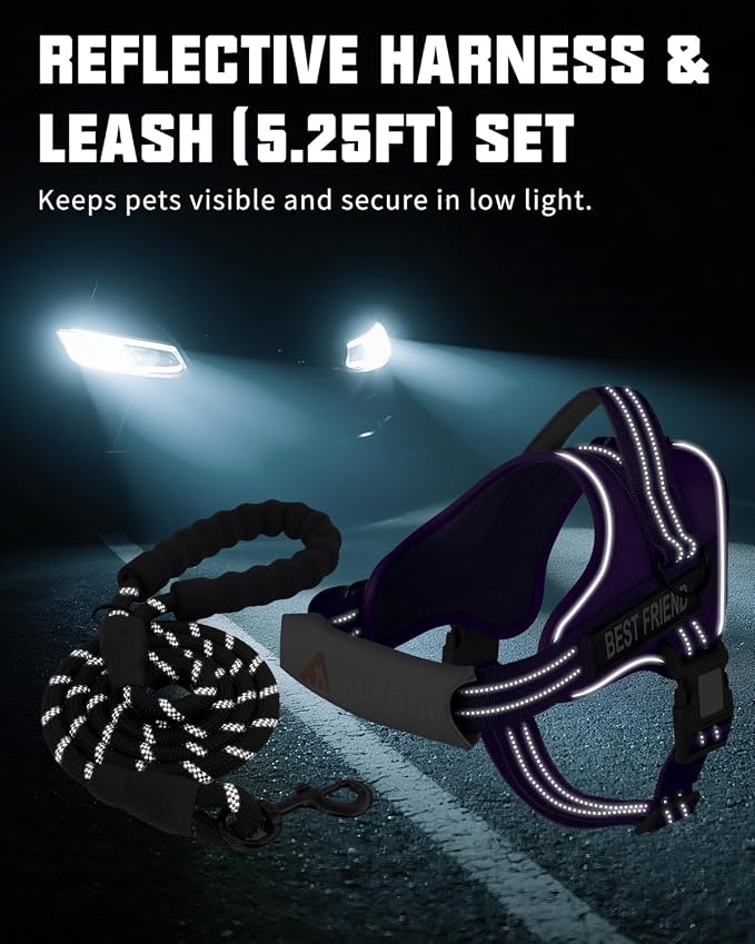 AUROTH Dog Harness and Leash Set Small Sized Dog, No Pull Escape Proof Vest | with Leash Clips, LED light clip, Breathable Mesh Padded No Choke, Easy Walking and Training, Purple, Small