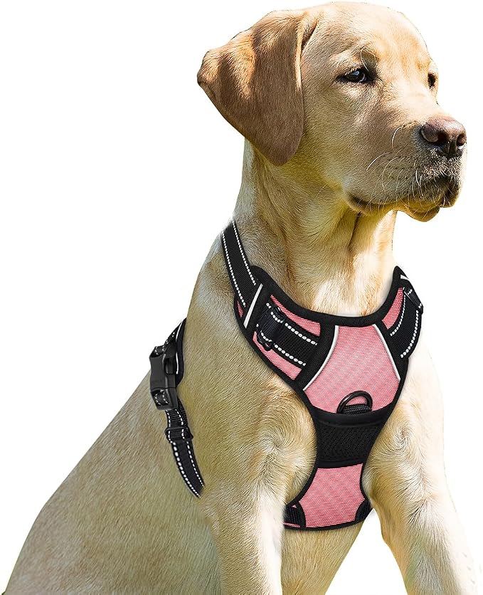 BARKBAY Dog Harness No Pull for Small Sized Dog Front Back Clips,Dog Vest | Soft Padded No Choke With Handle,Easy On&Off,Adjustable Reflective For Walking Training Running(Light Pink,XS)