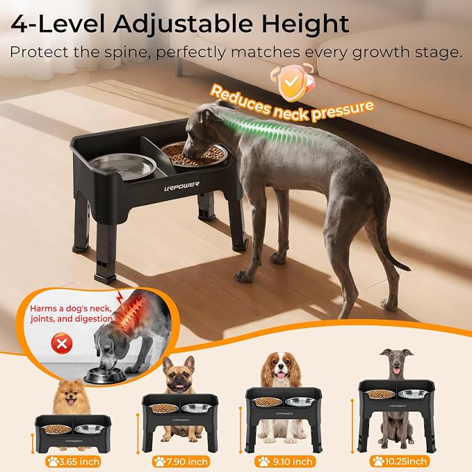 URPOWER Mess Proof Elevated Dog Bowls, Splash Guard Raised Bowl Stand | 4 Adjustable Heights, 2 Stainless Steel Bowls, Food & Water Separation, Non-Slip Base, Foldable Design for Small Dogs