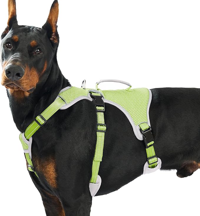 Escape Proof Dog Harness, Dachshund Harness, Reflective Dog Harness with Handle, Durable,Adjustable Vest for Small Medium Large Dogs Walking, Training, and Running Gear (Green,XL)