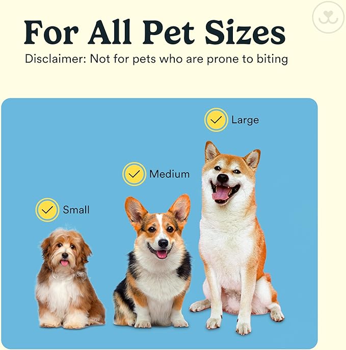 Jasper Dog Tooth Brushing Kit and Dog Toothpaste Kit 360 Dog Toothbrush Enzymatic Plaque Remover Imporves Bad Breath Natural Pet Toothpaste Dog Toothbrush and Toothpaste 2 oz Chicken Flavor