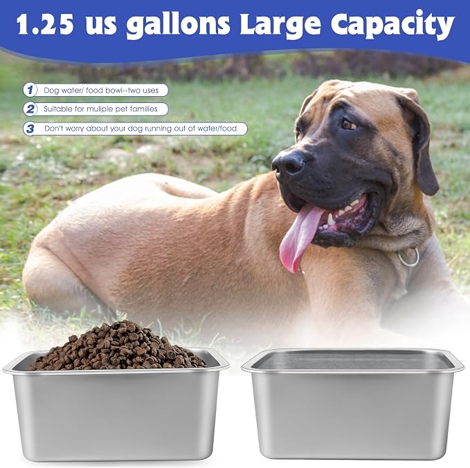 1.25 Gallon Dog Water Bowl, 2 Pack Stainless Steel Dog Bowls | 12.6 x 8.7 x 3.9 in Bowl Set, Food or Water Use, Indoor Outdoor Use, Wide Opening, Rounded Corners, Easy Rinse