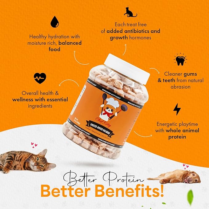 Freeze Dried Salmon Cat Treats | 100% Wild Caught Salmon Dog Treats, Grain- Free | High Protein, Single Ingredient Cat & Dog Food Toppers | No Additives or Preservatives | Tested in USA | 2.6 oz