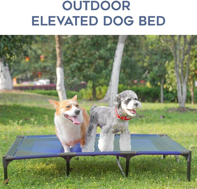 Elevated Dogs Bed Waterproof Outdoor, Portable Raised Dog Bed, Dog Beds Off the Floor, Dogs Bed Easy Clean Indoor or Outdoor Use, X-Large, Blue