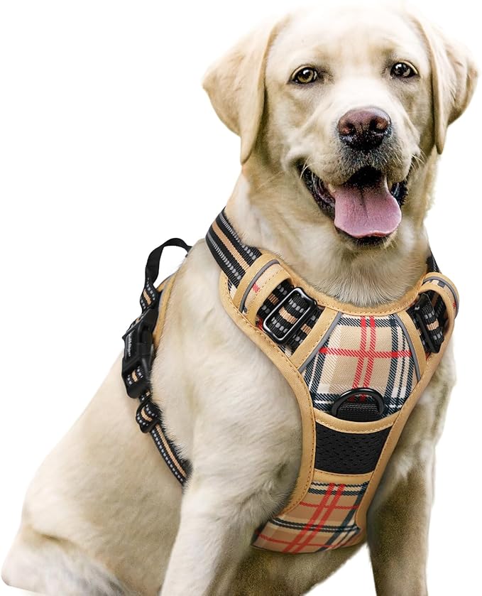 rabbitgoo Dog Harness, No Pull for Large Dogs with 2 Leash Clips, Pet Vest | No Choke with Handle, Adjustable Soft Padded, Reflective, Easy Control for Walking, Beige Plaid, Large
