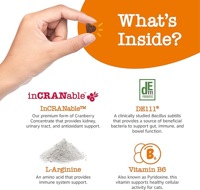 Zesty Paws Cranberry Urinary Tract Bites for Cats - Kidney & Urinary Tract Health - Soft Chews with D-Mannose, Vitamin B6 & L-Arginine - Immune & Gut Support - Bacon - 60 Count