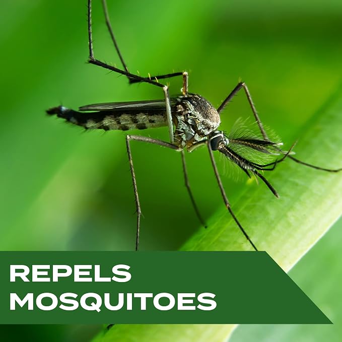 STEM for Mosquitoes: Mosquito Repellent Spray with Botanical Extracts; 4 fl. oz. (Pack of 3)