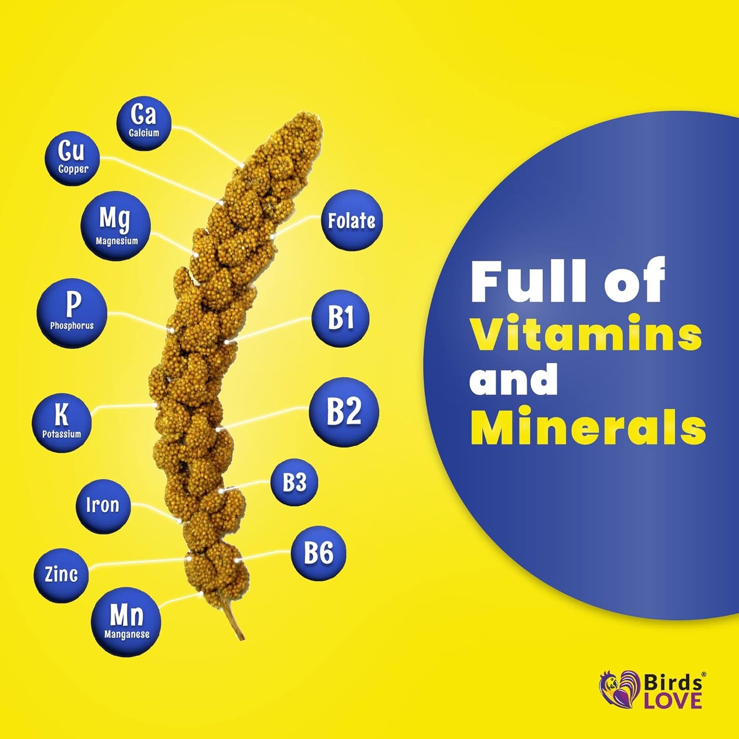 Birds LOVE Spray Millet – 9 oz GMO-Free, No Stems (Only Edible Tops) – Healthy Treat for Parakeets, Cockatiels, Finches, Canaries & Lovebirds