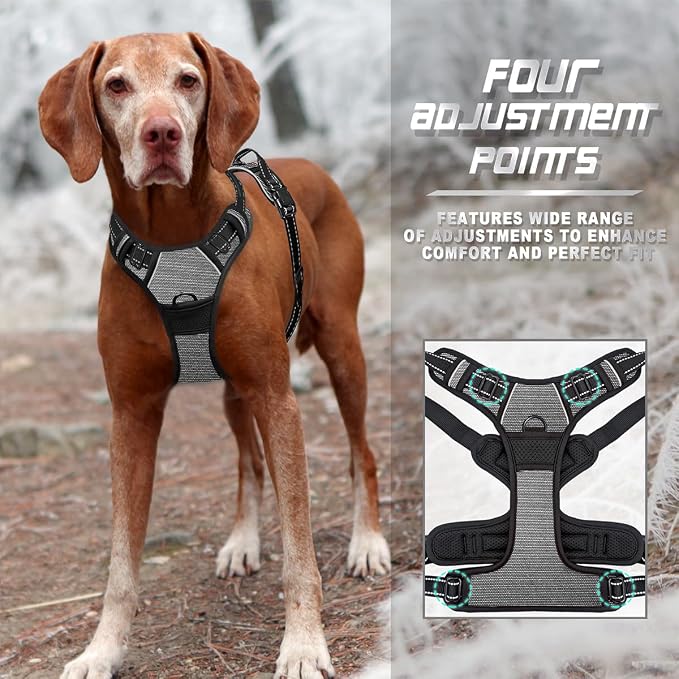 BARKBAY Dog Harness No Pull for Small Sized Dog Front Back Clips,Dog Vest | Soft Padded No Choke With Handle,Easy On&Off,Adjustable Reflective For Walking Training Running(Dark Grey,S)