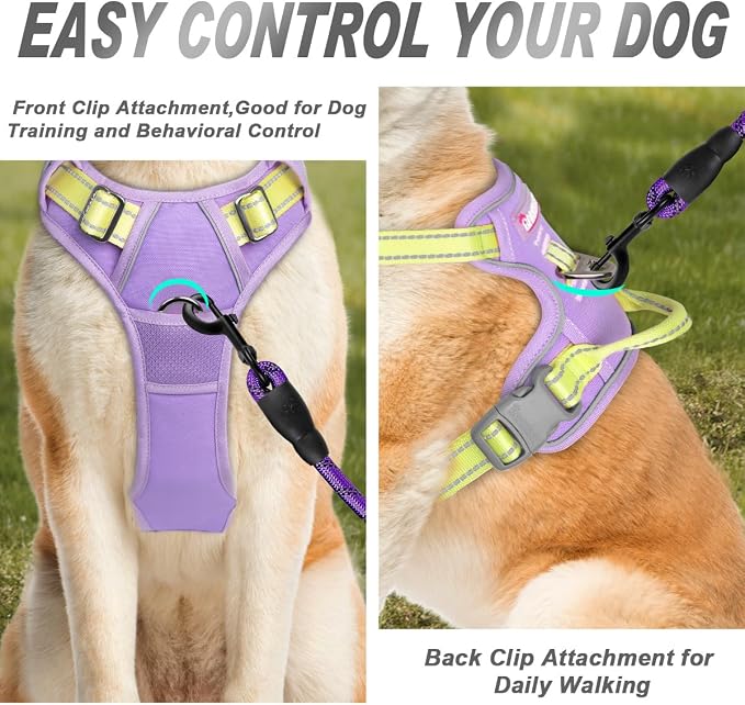 BARKBAY Dog Harness No Pull for Large Dogs Front Back Clips,Dog Vest | Soft Padded No Choke With Handle,Easy On&Off,Adjustable Reflective For Walking Training Running(Violet Purple & Sunlight,L)