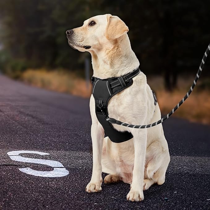 IVY&LANE No Pull Dog Harness for Small Dogs, Dog Vest Harness with Leash, Safety Belt and Storage Strap, Fully Adjustable Harness, 360° Reflective Strip, Soft Handle (Black, XS)