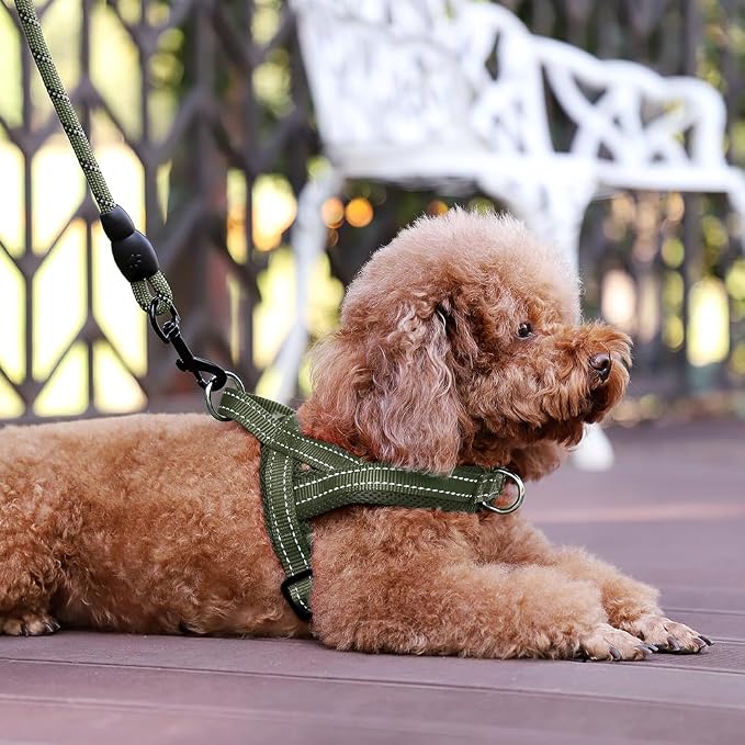 Plutus Pet No Pull Dog Harness for Medium Sized Dog, Breathable Mesh Padded | Adjustable Reflective with Handle, Escape Proof, Quick Fit Pet Vest, Front Clip, for Training and Walking, Ranger Green, M