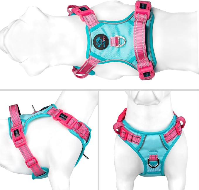 No Pull Dog Harness, Unique Colors Reflective Adjustable Dog Vest | with Soft Training Handle Metal Clips for Small Medium Large Dogs (Mint Green Base & Pink Straps,L)