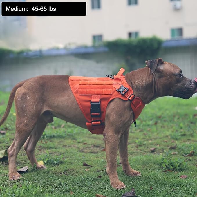 ICEFANG Tactical Dog Harness for Medium Dogs,Reflective No Pull Dog Vest | with Control Handle,Adjustable,Front Hook,2 Leash Clips,Soft Padded,MOLLE Panel,Orange,Medium