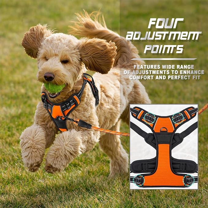 BARKBAY Dog Harness No Pull for Small Sized Dog Front Back Clips,Dog Vest | Soft Padded No Choke With Handle,Easy On&Off,Adjustable Reflective For Walking Training Running(Orange,XS)