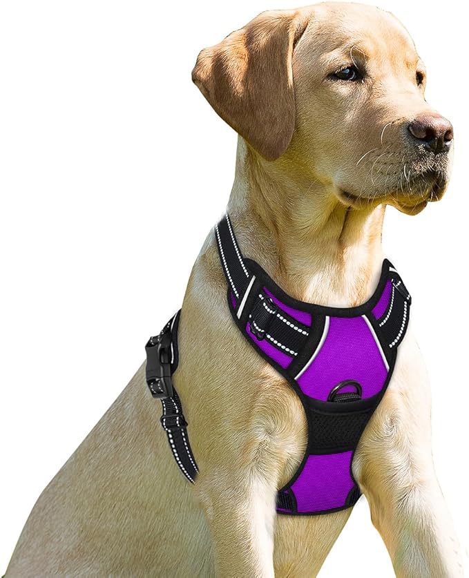 BARKBAY Dog Harness No Pull for Small Sized Dog Front Back Clips,Dog Vest | Soft Padded No Choke With Handle,Easy On&Off,Adjustable Reflective For Walking Training Running(Purple,XS)
