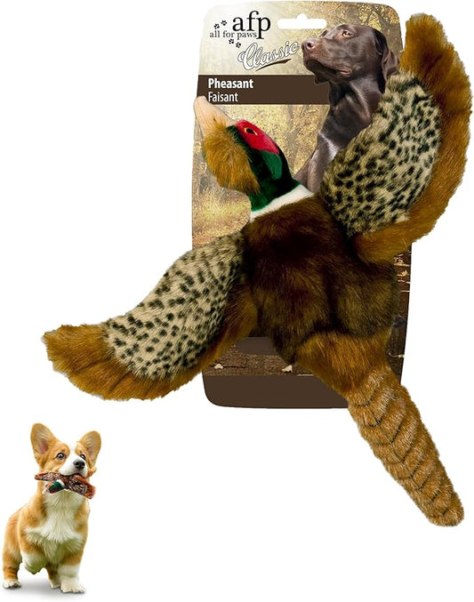 ALL FOR PAWS Squeaky Doy Toy, Pheasant Dog Toy for Small Medium Breed, Puppy Fetch Toy with Squeaker, Plush Chew Dog Toy, 9.8 x 9.8 x 2 inches, Classic-Pheasant S