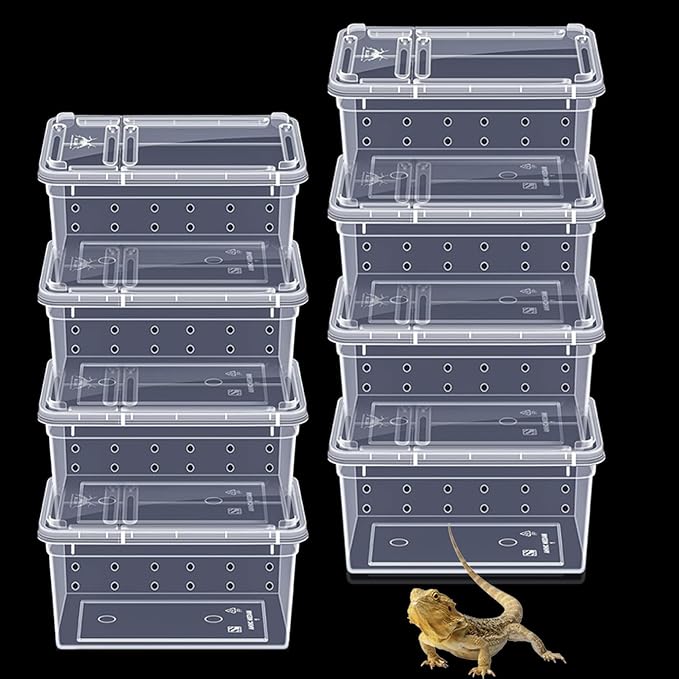 PINVNBY Reptile Feeding Box 8 PCS Snake Breeding Box Lizard Cage Habitat Hatching Container 7.48"x4.92"x2.95" Transparent Portable Plastic Cricket Cage for Spider Scorpion Gecko Tortoise Treefrog