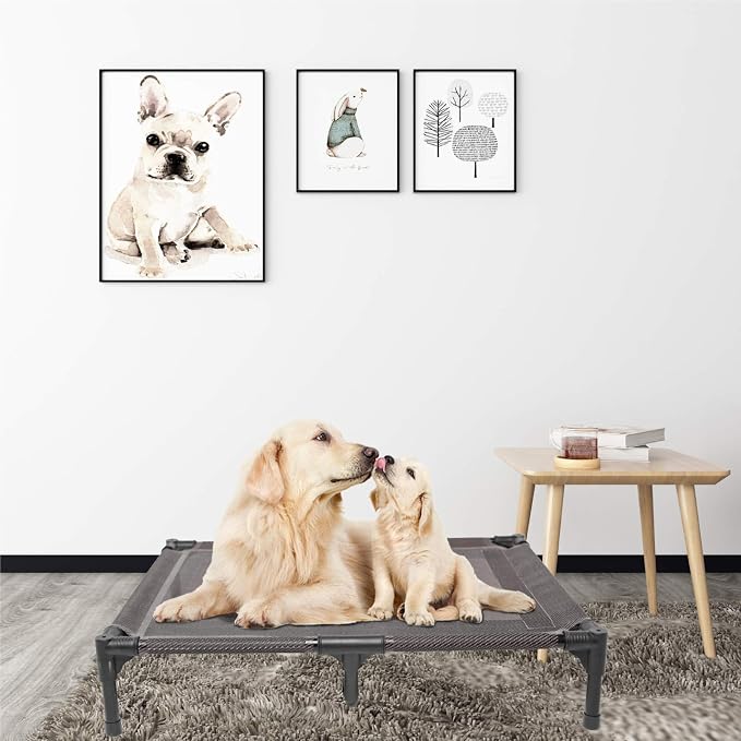Elevated Dog Bed for Medium Dogs, Dual Support Cooling Cot with Teslin Mesh, Portable Waterproof Pet Bed for Indoor/Outdoor Use, Medium, 30x23x6.3 Inch, Grey